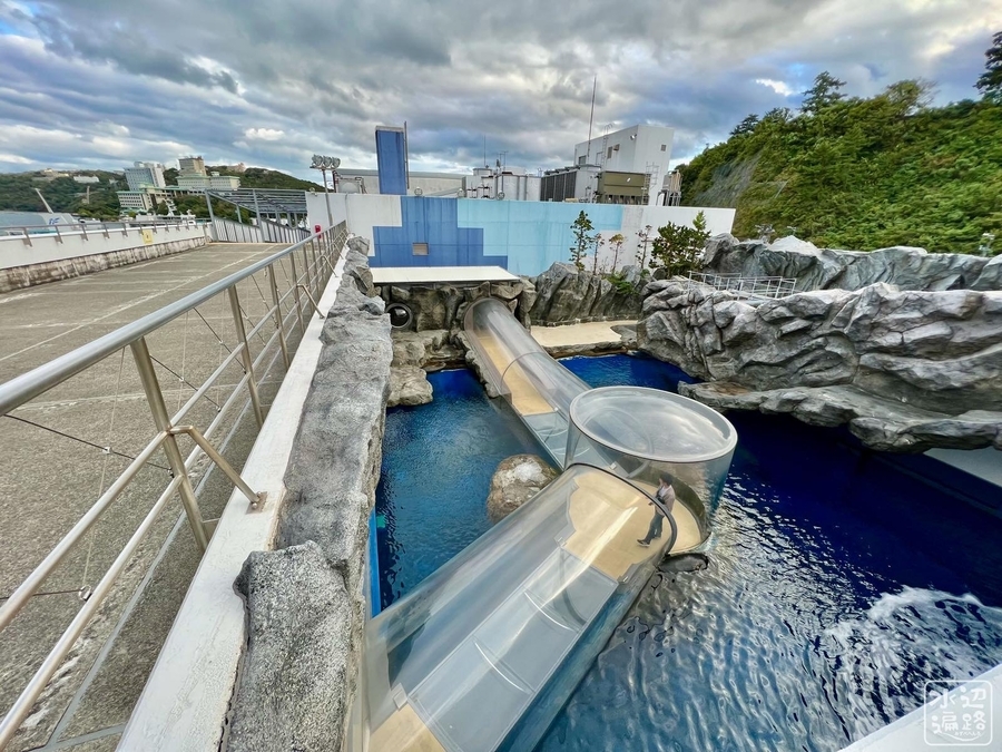 鳥羽水族館 鳥羽水族館の池（三重県鳥羽） - 水辺遍路