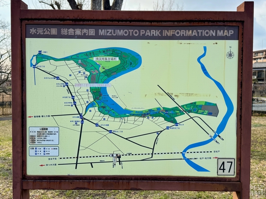 ごんぱち池（東京都葛飾） - 水辺遍路