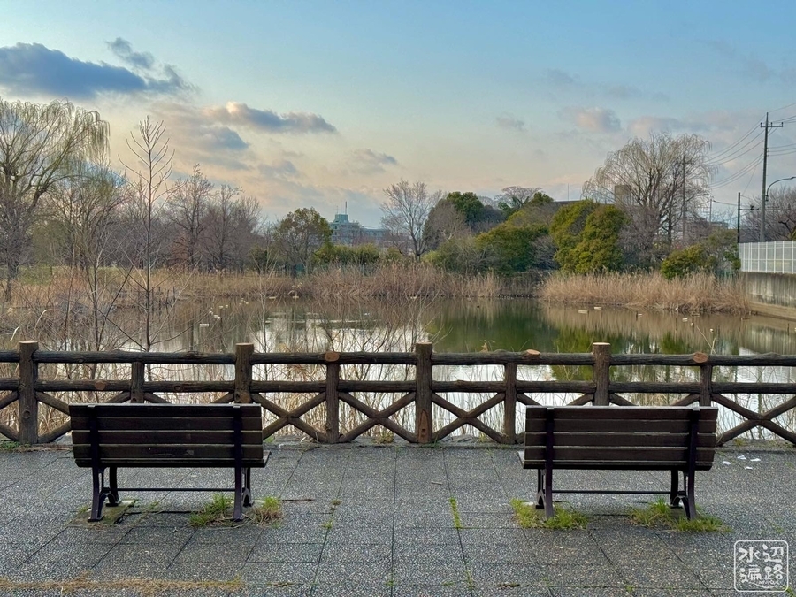 水元公園「水辺のさと」の池群（東京都葛飾） - 水辺遍路