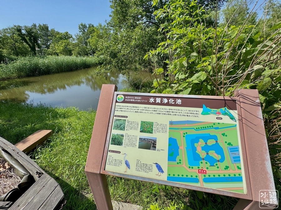 水元公園「水辺のさと」の池群（東京都葛飾） - 水辺遍路