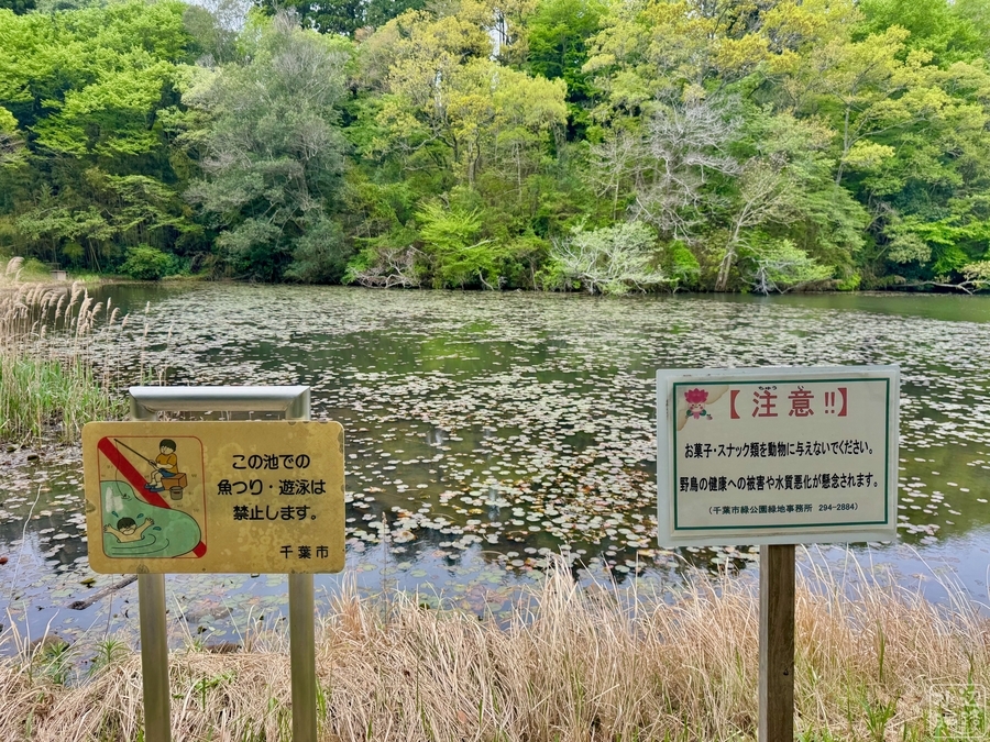下夕田池（千葉県千葉） - 水辺遍路