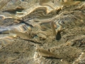 20250509100534