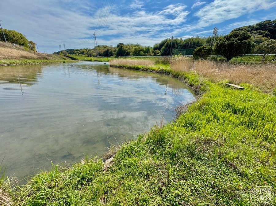 梔池（静岡県浜松） - 水辺遍路