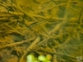 20250530153651