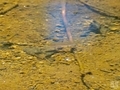 20250707105538
