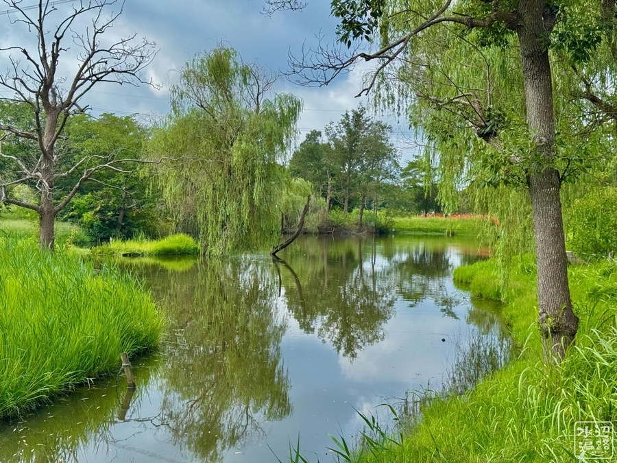 北柏ふるさと公園の池（千葉県柏） - 水辺遍路