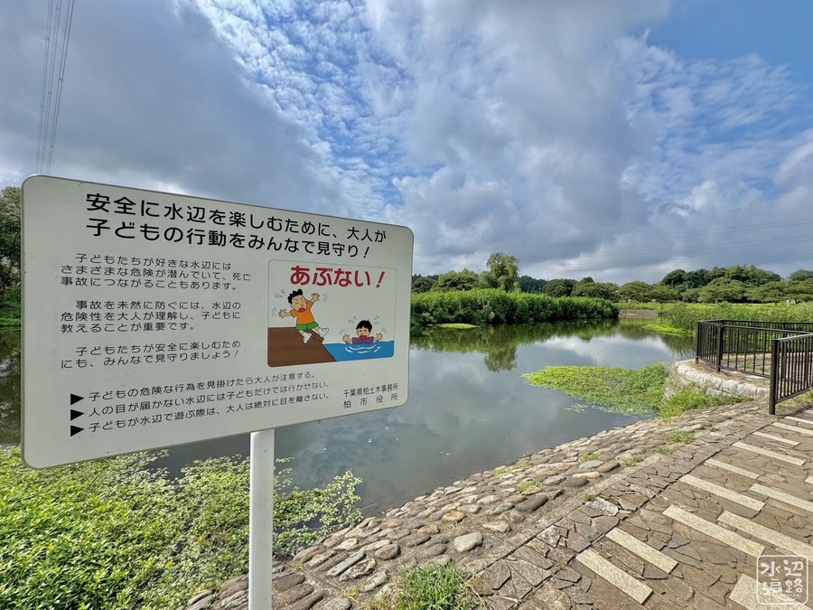 北柏ふるさと公園の池（千葉県柏） - 水辺遍路