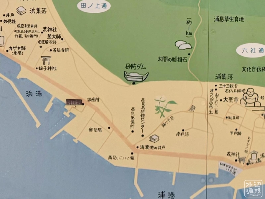 タイプ標本】デタニヒイロツマベニ♂標本☆ペレン島産 島の詳細地名