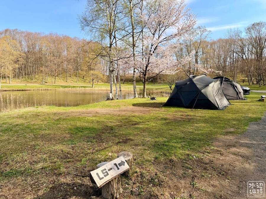 厚真の大沼（北海道厚真） - 水辺遍路