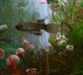 20100804213454