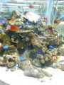 20100813155000