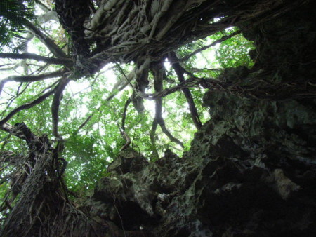 f:id:cisa:20081103152825j:image