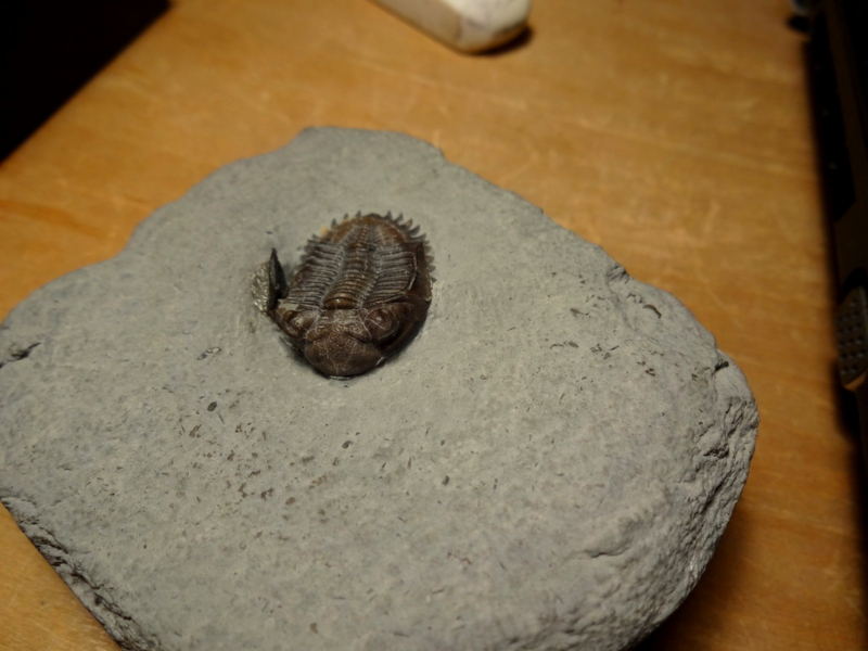 f:id:citarius:20170521221640j:image f:id:citarius:20170521221640j:image