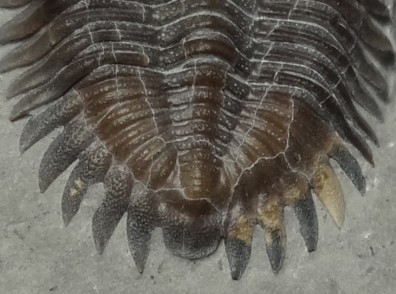 f:id:citarius:20170525194151j:image f:id:citarius:20170525194151j:image