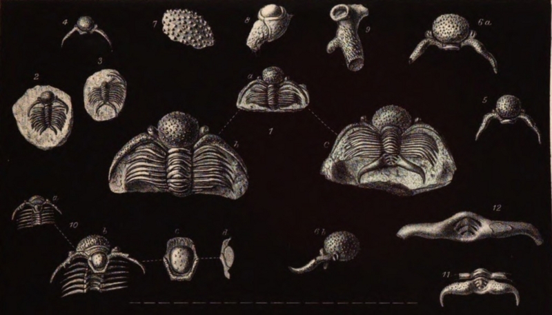 f:id:citarius:20171229222016j:image f:id:citarius:20171229222016j:image