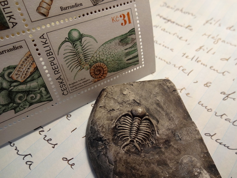 f:id:citarius:20180102132002j:image f:id:citarius:20180102132002j:image