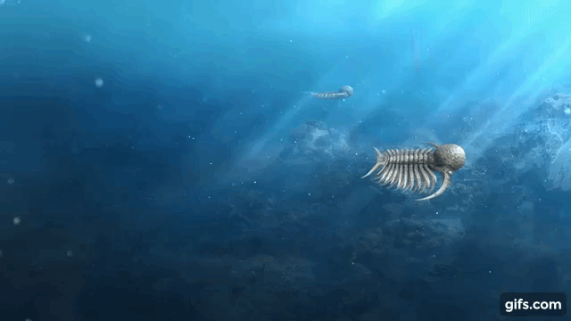 f:id:citarius:20180102145409g:image f:id:citarius:20180102145409g:image