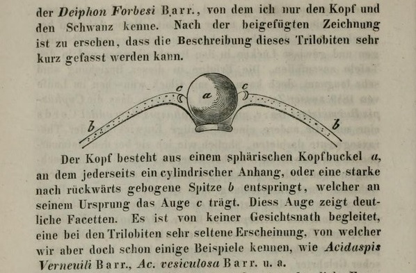 f:id:citarius:20180324125639j:image f:id:citarius:20180324125639j:image