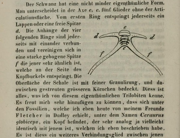 f:id:citarius:20180324130636j:image f:id:citarius:20180324130636j:image