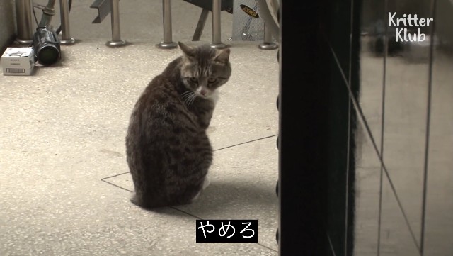 f:id:citron_days:20230919213552j:image