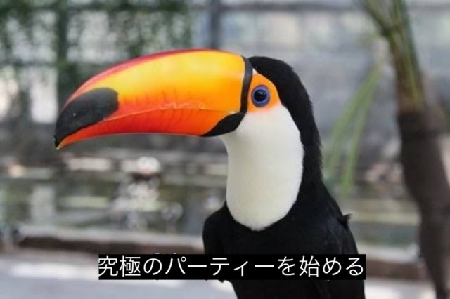 f:id:citron_days:20240801233918j:image