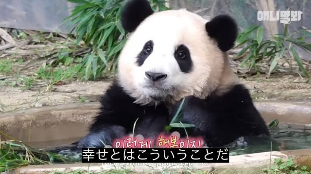 f:id:citron_days:20240801234031j:image
