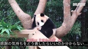 f:id:citron_days:20240801234501j:image