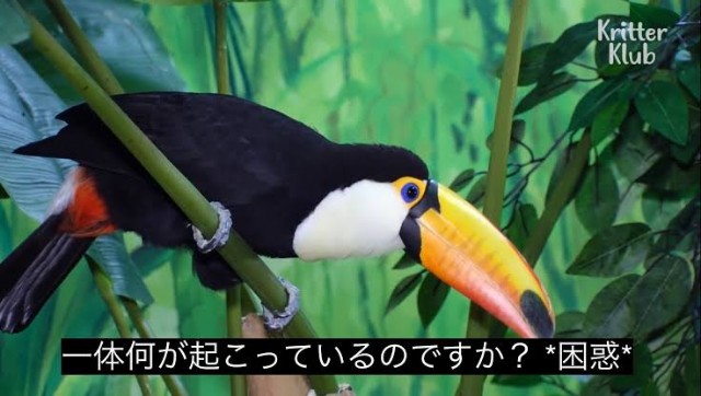 f:id:citron_days:20240801234954j:image