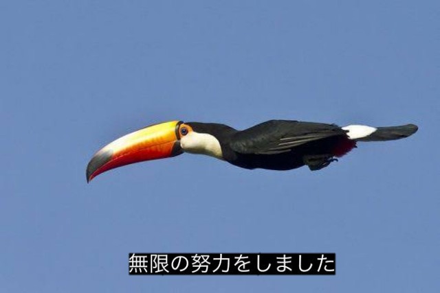 f:id:citron_days:20240801235614j:image