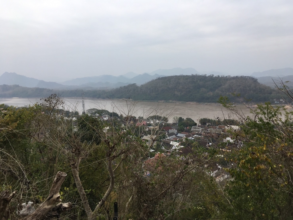 f:id:citronbiscuit:20180214154721j:plain