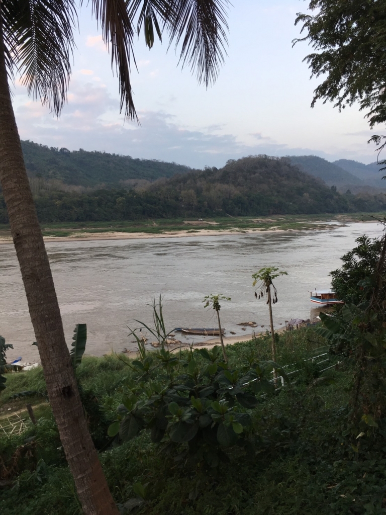 f:id:citronbiscuit:20180214154749j:plain