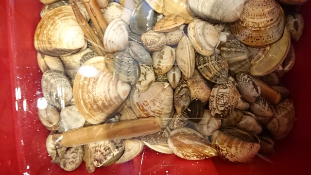 f:id:citronbiscuit:20190410132032j:plain f:id:citronbiscuit:20190410132032j:plain