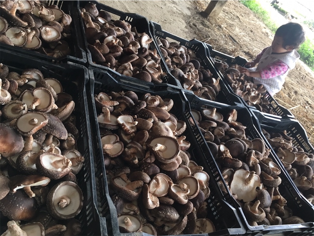 f:id:citta2017:20181031122539j:image