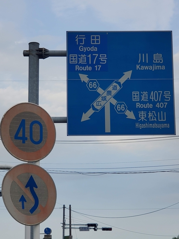 大芦交差点付近にある交差点案内標識の文字の向きに違和感を覚える