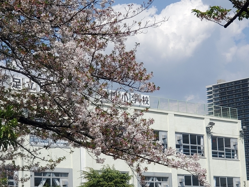 桜に導かれて見つけた「足立区長門町」｜校門に残る旧町名の痕跡 - 歩