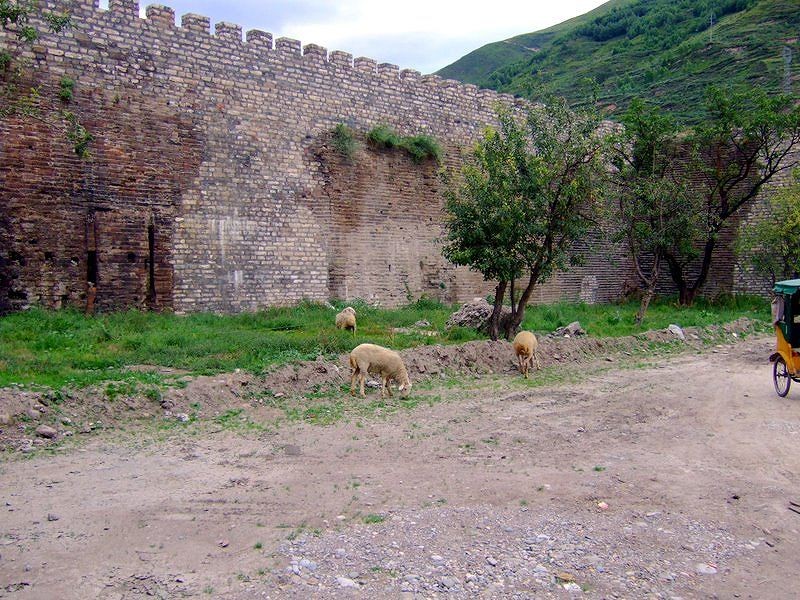 f:id:citywall:20090211140707j:image