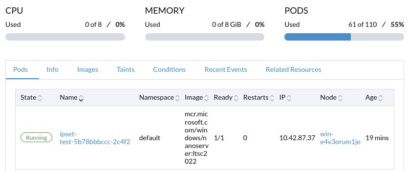 result-61-pod-in-windows-node