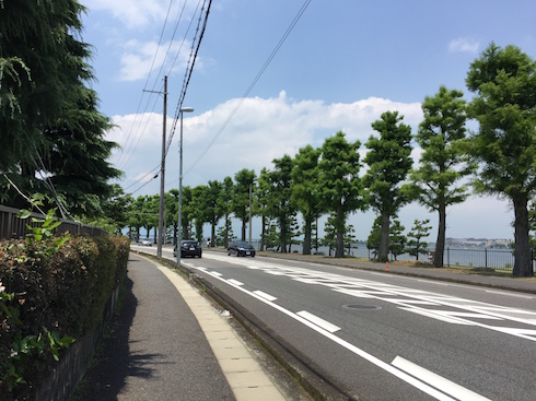 f:id:civet_cat:20160630124732j:plain f:id:civet_cat:20160630124732j:plain