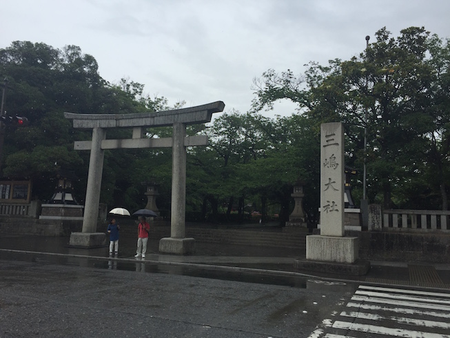 f:id:civet_cat:20160703152243j:plain f:id:civet_cat:20160703152243j:plain