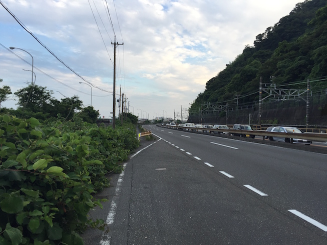 f:id:civet_cat:20160703153317j:plain f:id:civet_cat:20160703153317j:plain