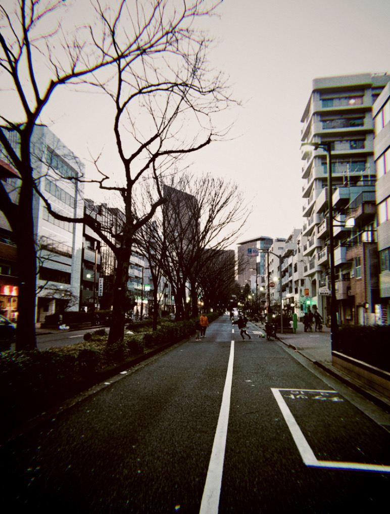 f:id:cjgjc803:20200216031853j:plain