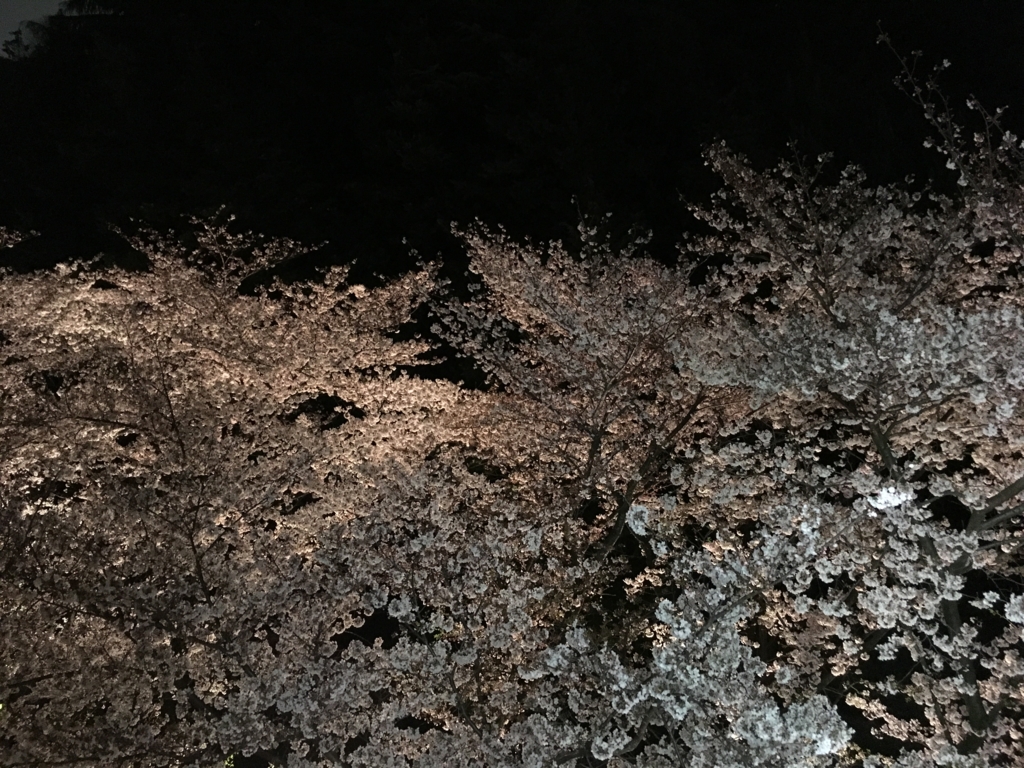 f:id:cka-lek:20170411110007j:plain f:id:cka-lek:20170411110007j:plain