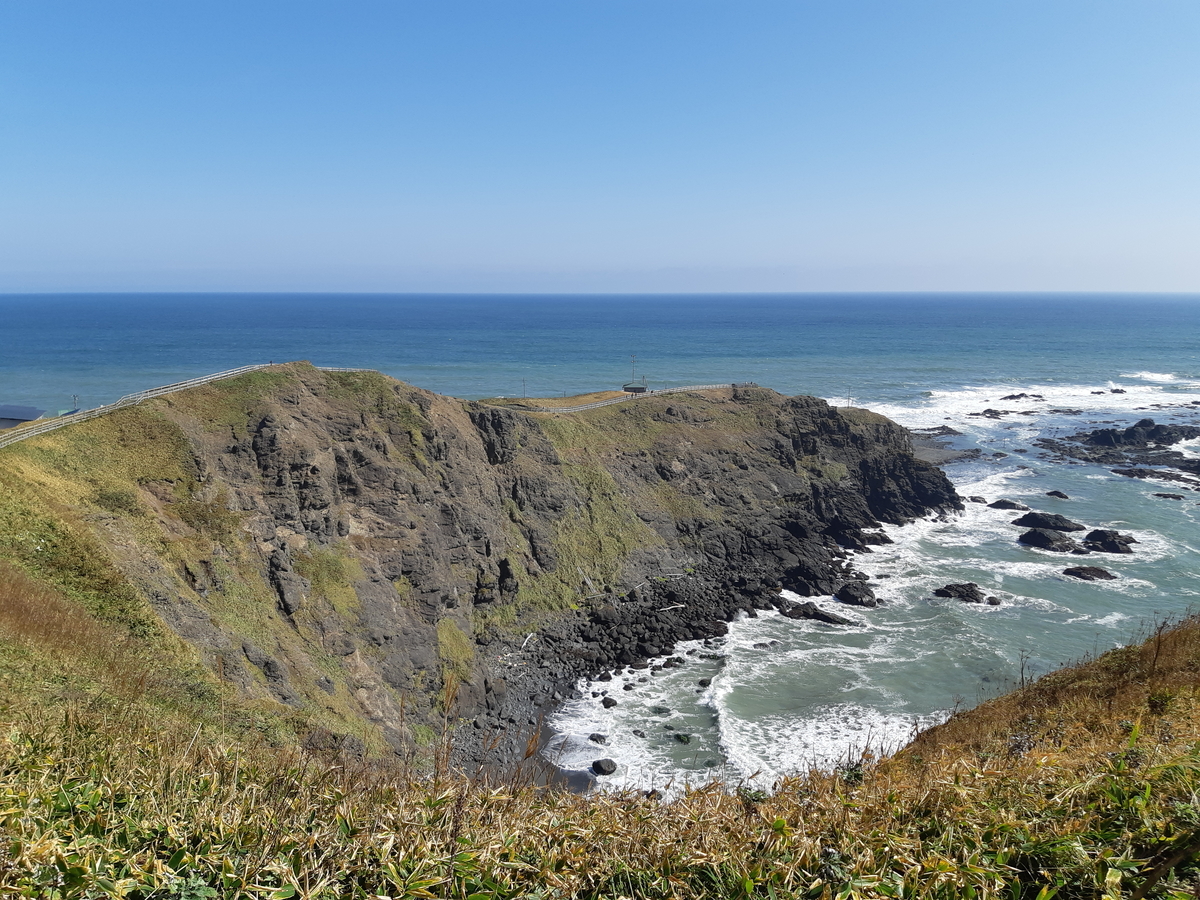 f:id:cladoalgae:20201003052235j:plain