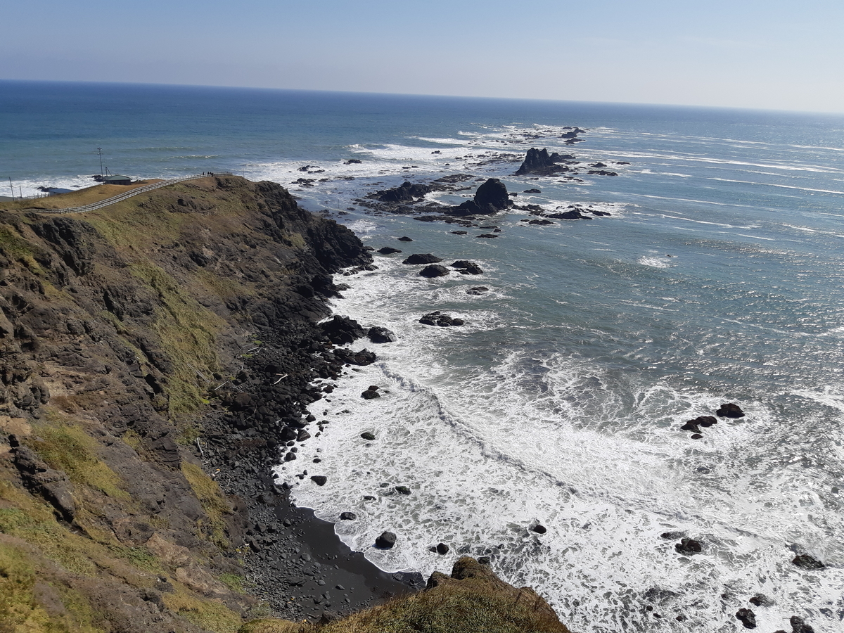 f:id:cladoalgae:20201003052451j:plain