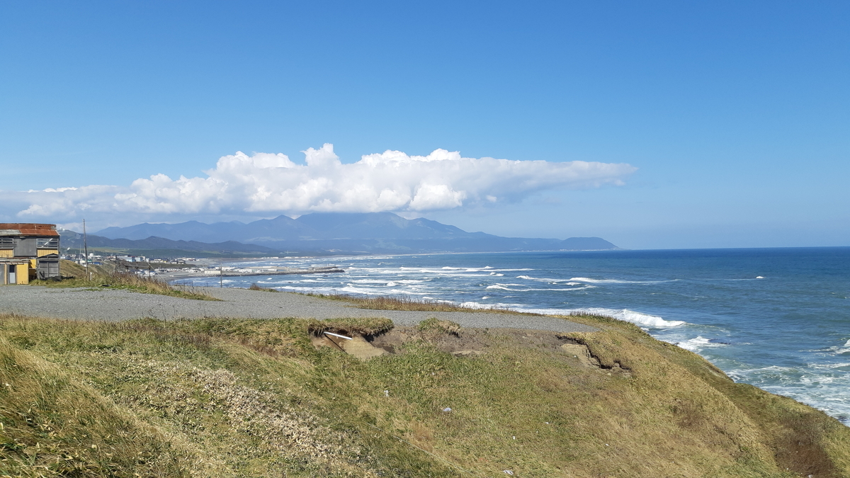 f:id:cladoalgae:20201003052833j:plain