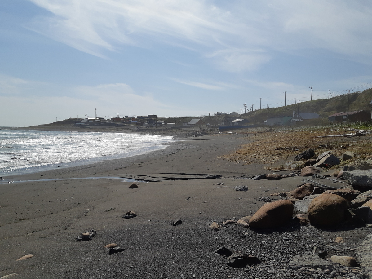 f:id:cladoalgae:20201003053148j:plain