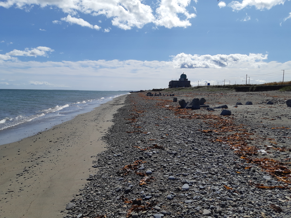 f:id:cladoalgae:20201006211359j:plain