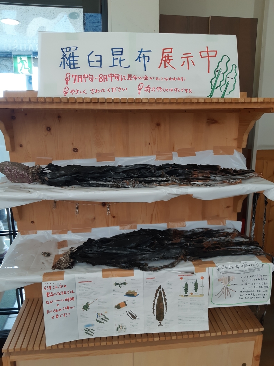 f:id:cladoalgae:20201007001634j:plain