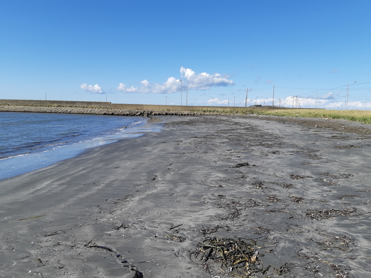 f:id:cladoalgae:20201008082233j:plain