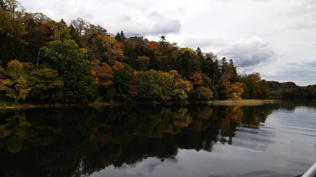 f:id:cladoalgae:20201009060248j:plain